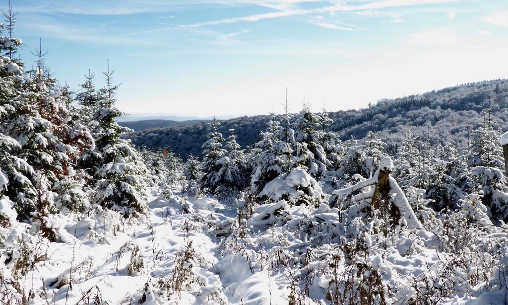 Pension Robin Hood Willingen  Luaran gambar