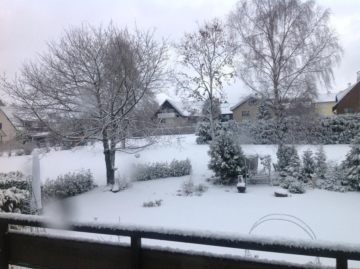Pension Robin Hood Willingen  Luaran gambar