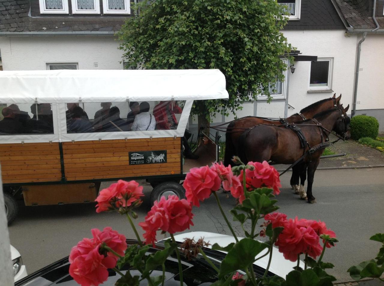 Pension Robin Hood Willingen  Luaran gambar
